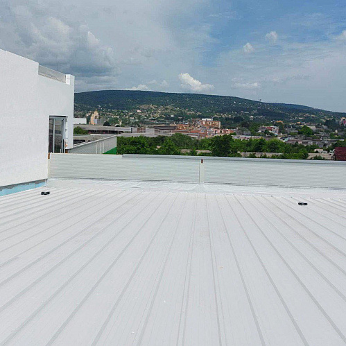 Application of Bronya Classic NF, Bronya Light Airless NF and Bronya Aquablock Effect NF for protection and waterproofing of flat roofs in Budaors, Hungary. (photos and videos)